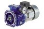 Standard motovariators